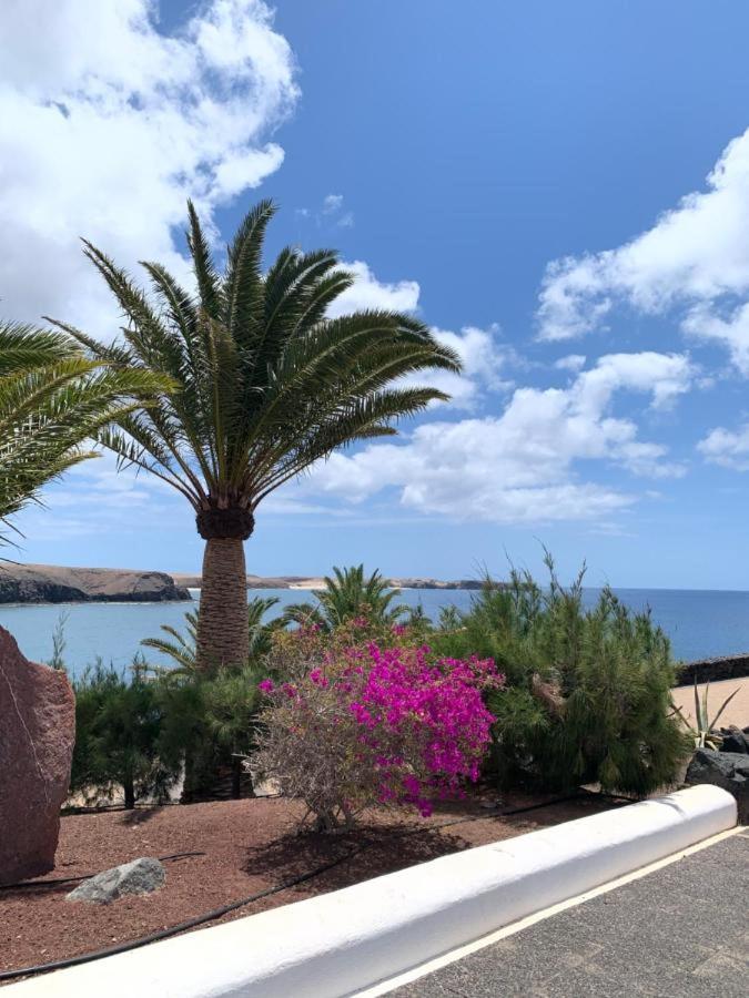 Coloradas Villa Alba プラヤ・ブランカ エクステリア 写真
